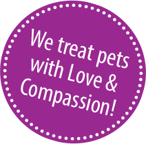 We treat pets with love and compassion